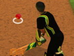 Provocarea bătătorilor de cricket