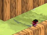 Cub Ninja